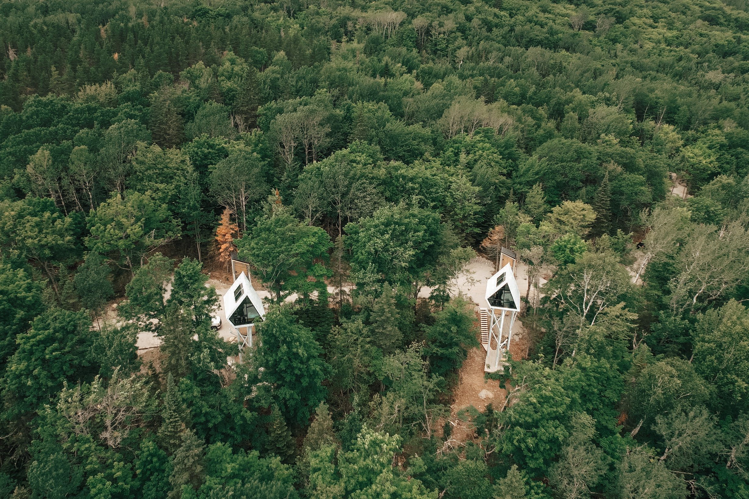 Le site de Repère Boréal, dans la forêt des Éboulements